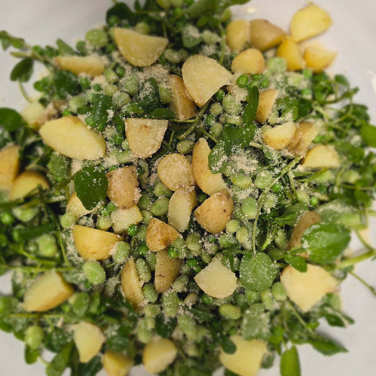The Spring Menu